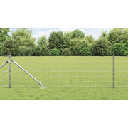 Hek met paal 1000x40 cm staal zilver