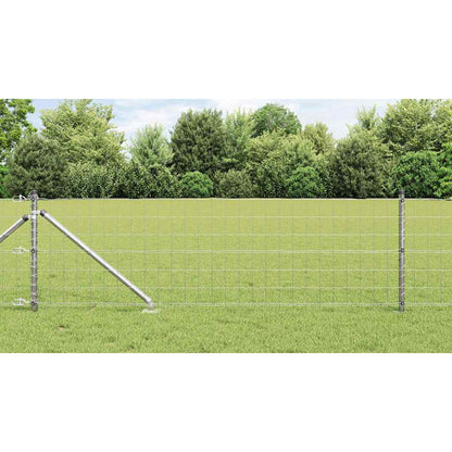 Hek met Paal Zilver 0,6 x 10 m Staal