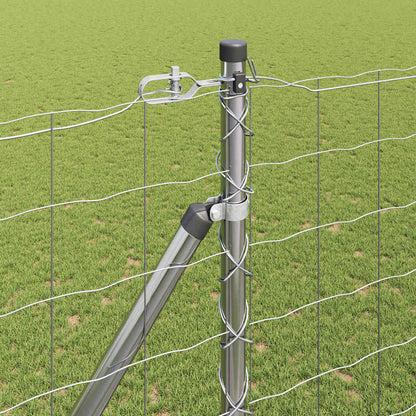 Hek met Paal Zilver 1,6 x 10 m Staal