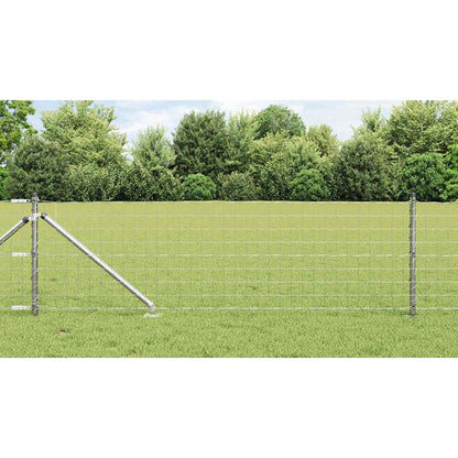 Hek met Paal Zilver 0,8 x 10 m Staal
