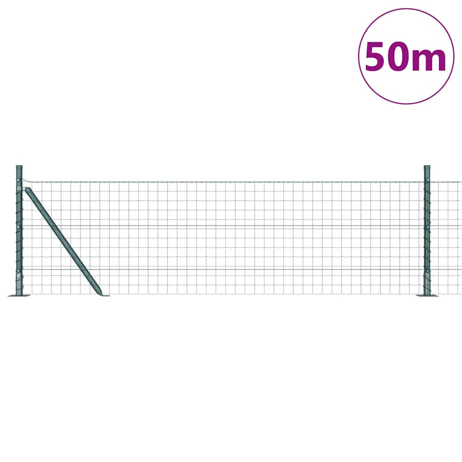 Euro Omheining met 13 Flenspalen 0.6x50 m Gepoedercoat Staal