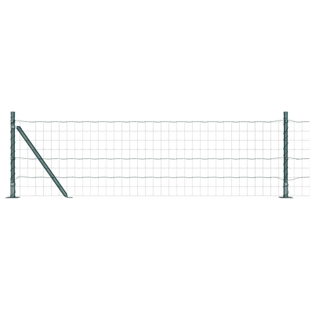 Hek met Paal Groen 0,6 x 10 m Staal en PVC