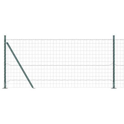 Hek met Paal Groen 0,8 x 10 m Staal