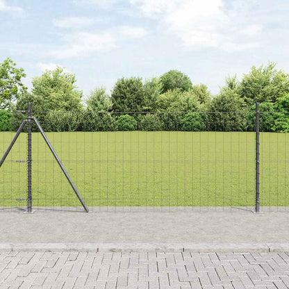 Hek met Paal Grijs 1 x 10 m Staal en PVC