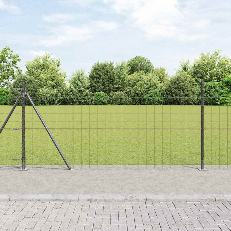 Hek met Paal Grijs 0,8 x 25 m Staal
