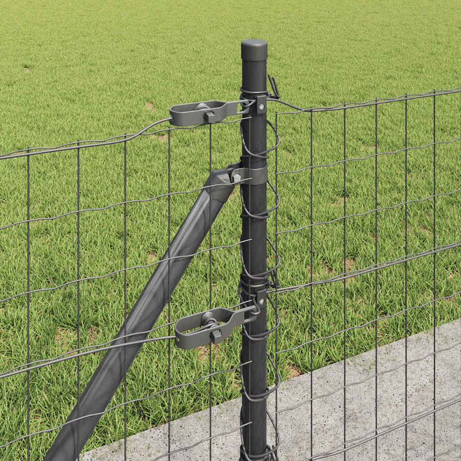 Hek met Paal Grijs 0,4 x 50 m Staal en PVC