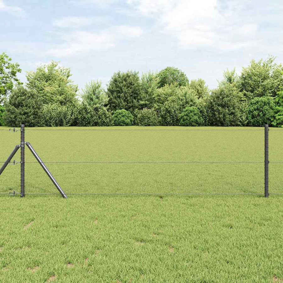 Afrasteringspaal Grijs 10 x 0,6 m (13 mm gaas) Staal en PVC
