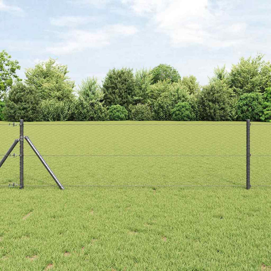 Afrasteringspaal Grijs 10 x 0,6 m (25 mm gaas) Staal en PVC