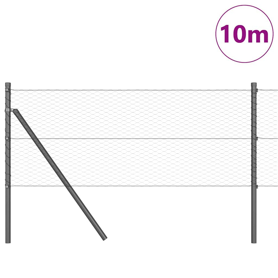 Afrasteringspaal Grijs 10 x 0,6 m (25 mm gaas) Staal en PVC