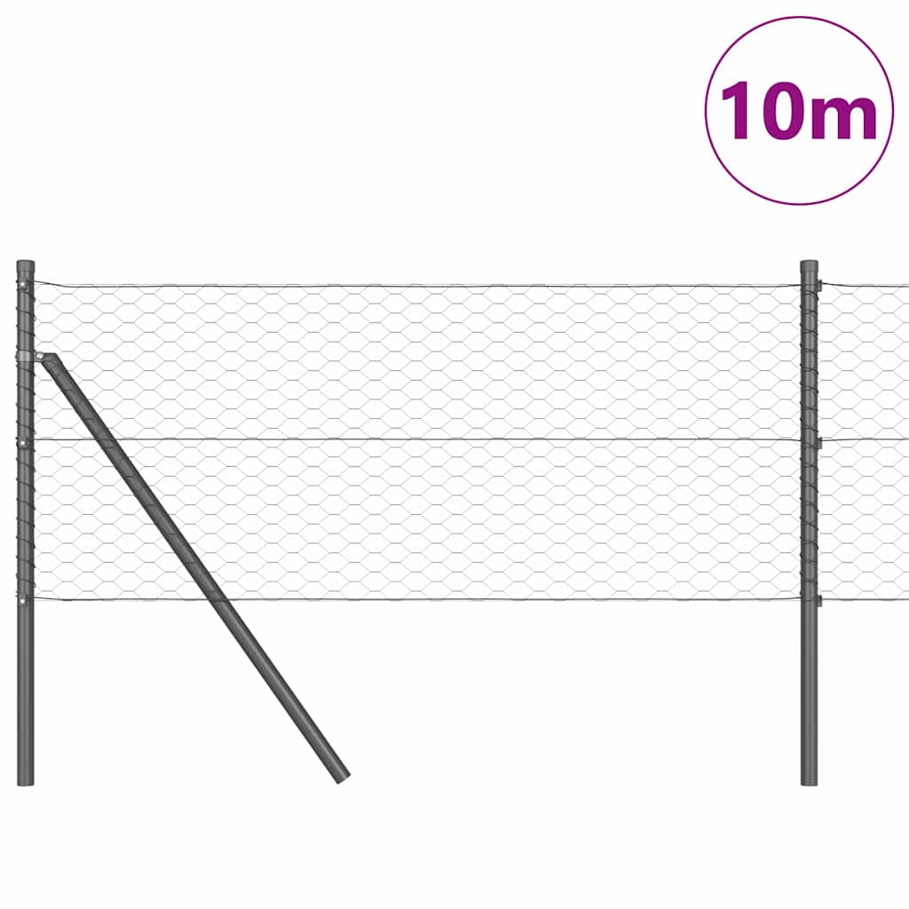 Afrasteringspaal Grijs 10 x 0,6 m (36 mm gaas) Staal en PVC