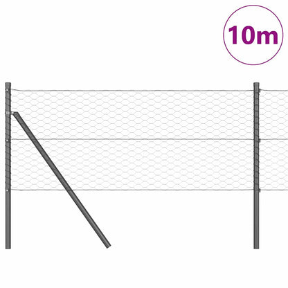 Afrasteringspaal Grijs 10 x 0,6 m (36 mm gaas) Staal en PVC