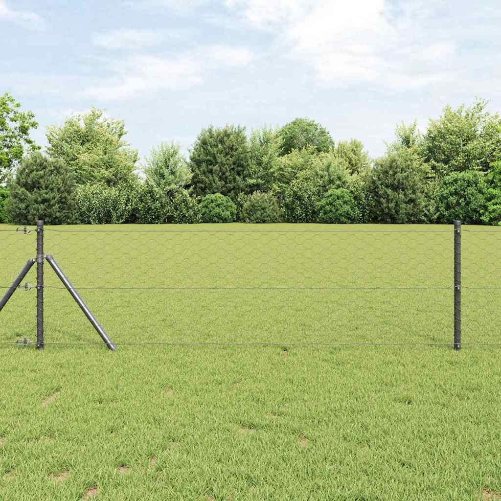 Afrasteringspaal Grijs 10 x 0,6 m (50 mm gaas) Staal en PVC