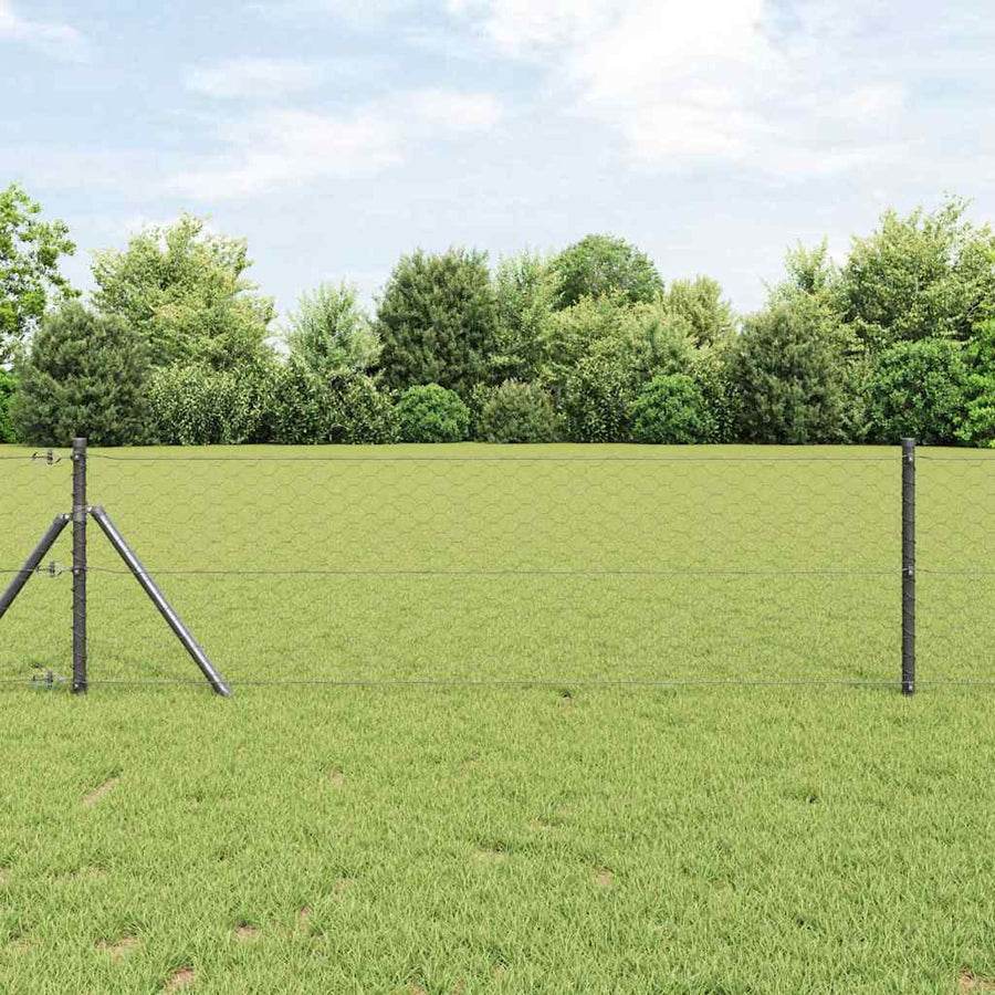 Afrasteringspaal Grijs 10 x 0,6 m (50 mm gaas) Staal en PVC