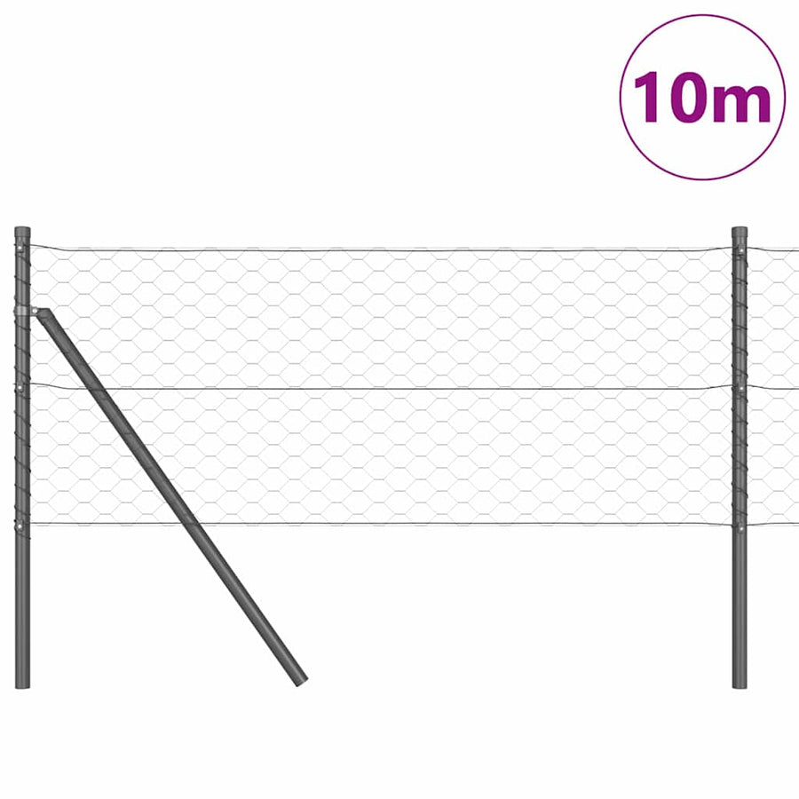 Afrasteringspaal Grijs 10 x 0,6 m (50 mm gaas) Staal en PVC