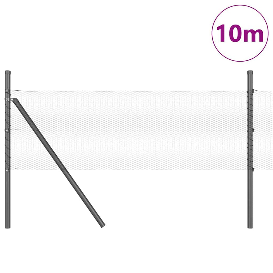 Afrasteringspaal Grijs 10 x 0,8 m (13 mm gaas) Staal en PVC