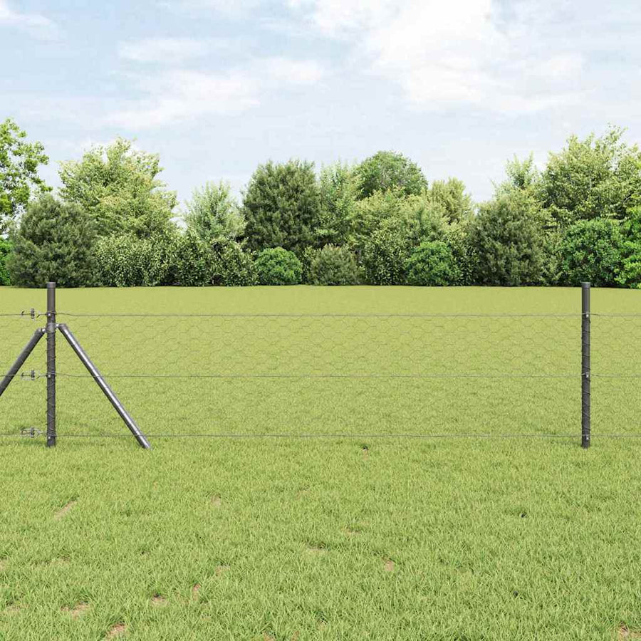 Afrasteringspaal Grijs 10 x 0,8 m (50 mm gaas) Staal en PVC