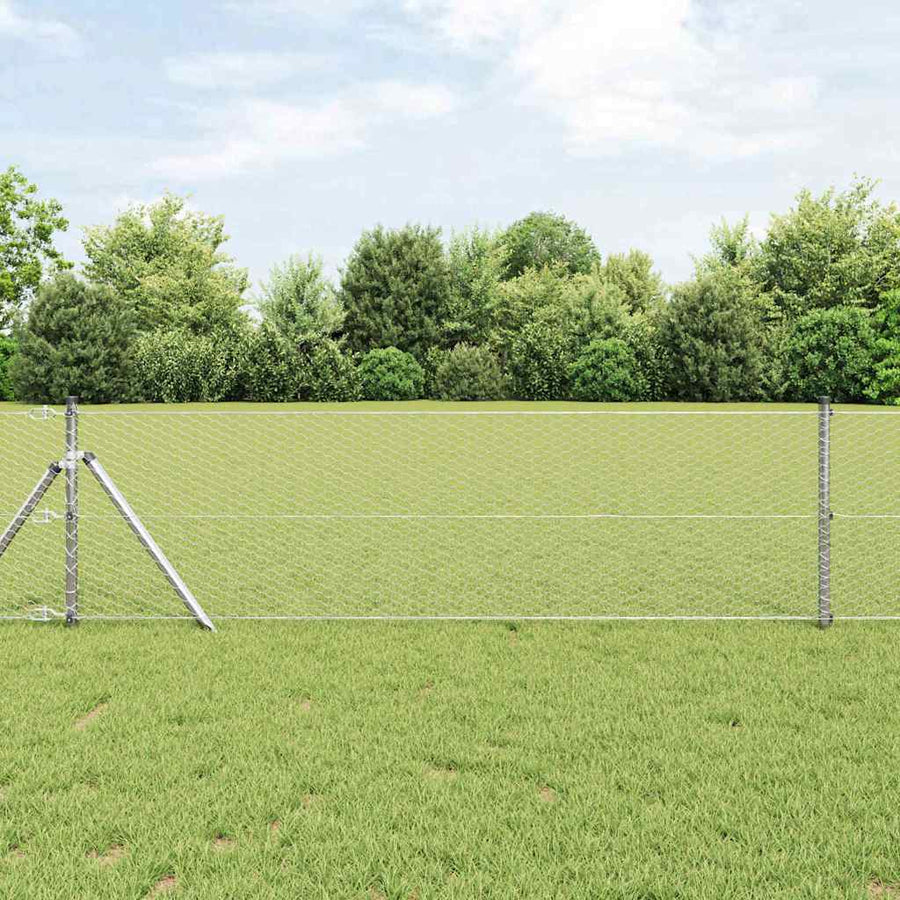 Afrasteringspaal Zilver 10 x 0,6 m (25 mm gaas) Staal