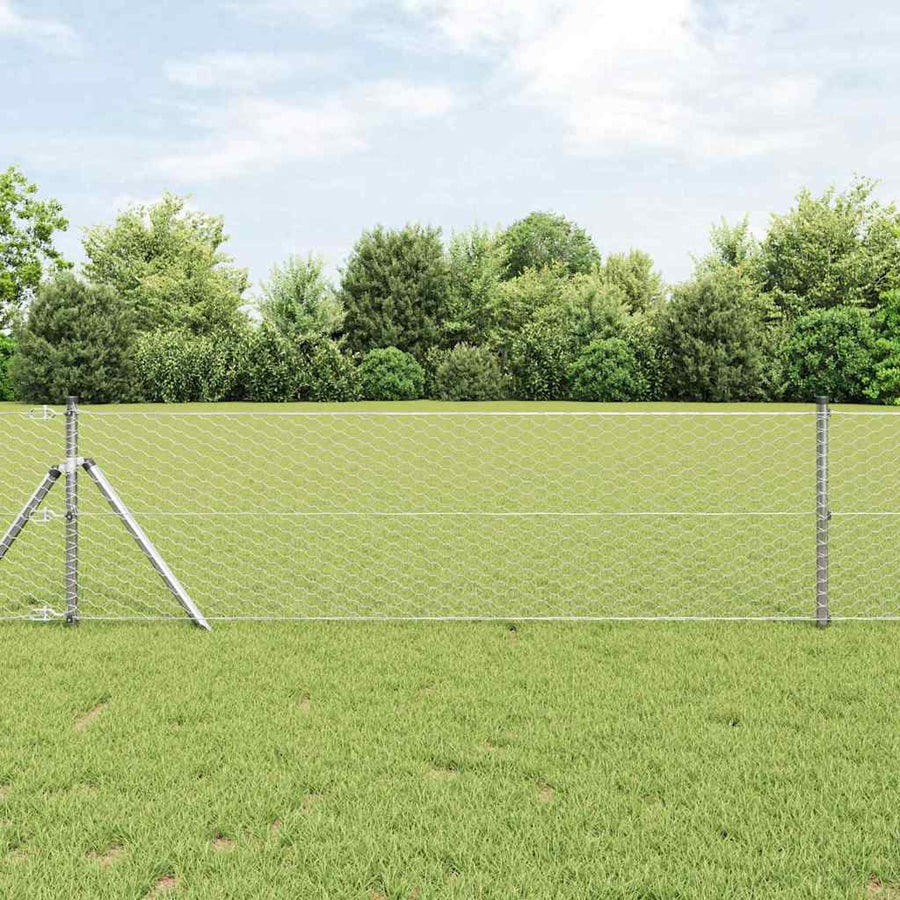 Afrasteringspaal Zilver 10 x 0,6 m (36 mm gaas) Staal