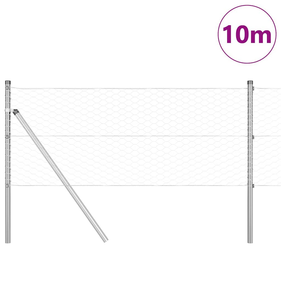 Afrasteringspaal Zilver 10 x 0,6 m (36 mm gaas) Staal