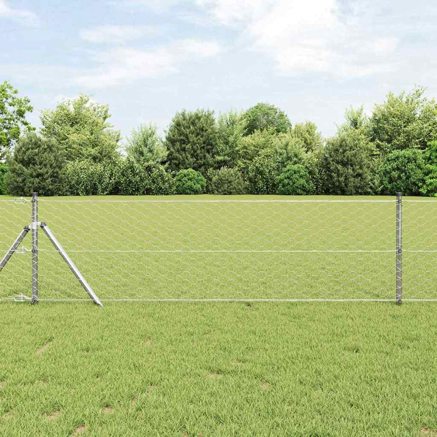 Afrasteringspaal Zilver 10 x 0,6 m (50 mm gaas) Staal