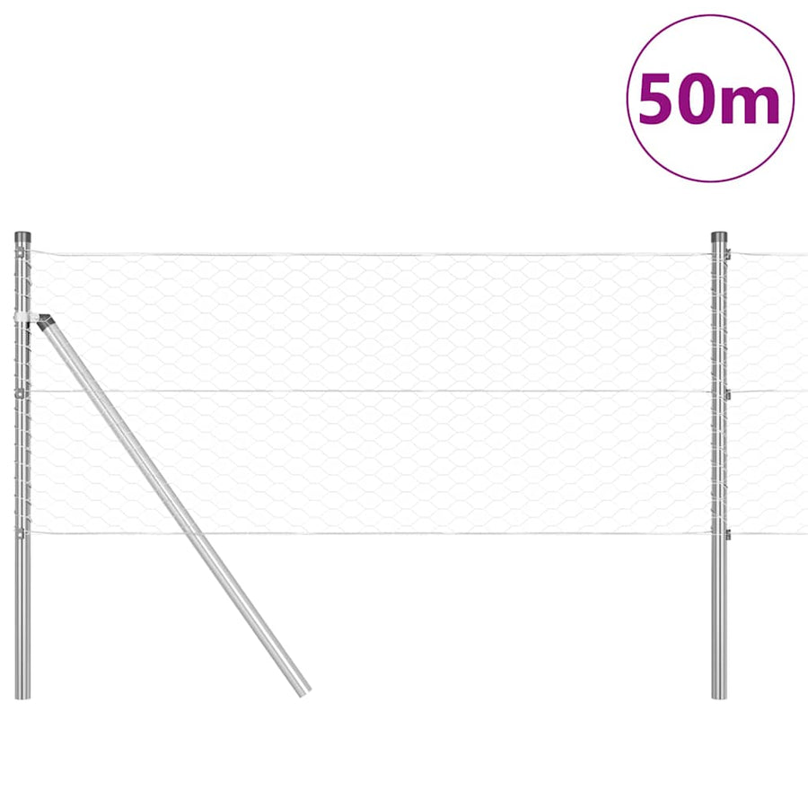 Afrasteringspaal Zilver 50 x 0,6 m (36 mm gaas) Staal