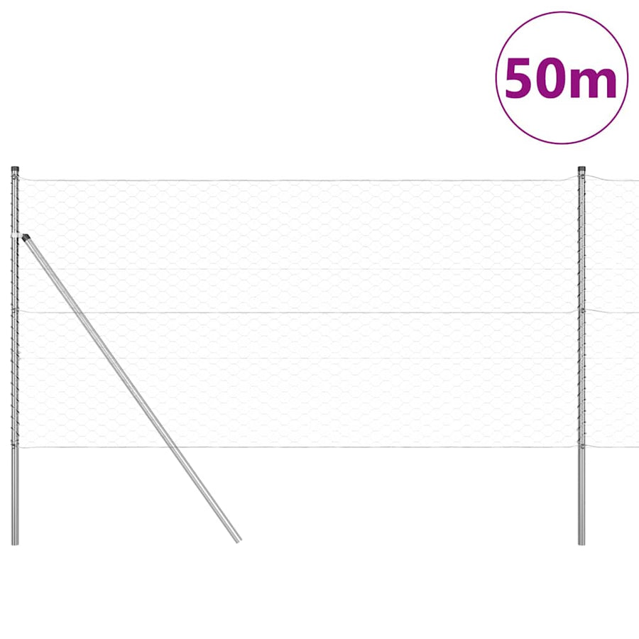 Afrasteringspaal Zilver 50 x 1,2 m (50 mm gaas) Staal