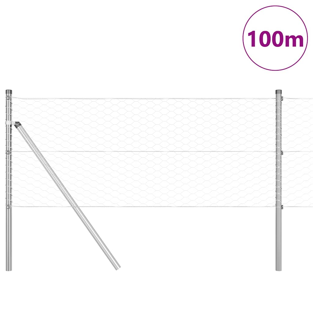 Afrasteringspaal Zilver 100 x 0,6 m (36 mm gaas) Staal