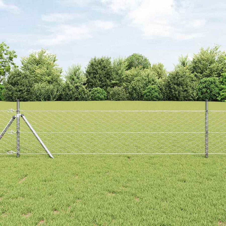 Afrasteringspaal Zilver 100 x 0,8 m (50 mm gaas) Staal