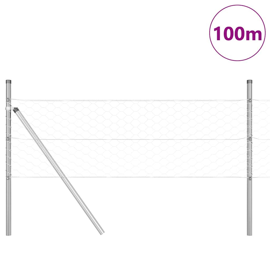 Afrasteringspaal Zilver 100 x 0,8 m (50 mm gaas) Staal