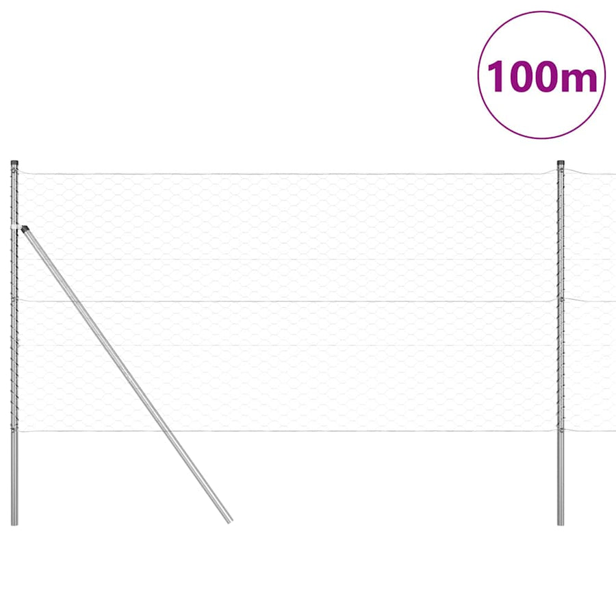 Afrasteringspaal Zilver 100 x 1,2 m (50 mm gaas) Staal