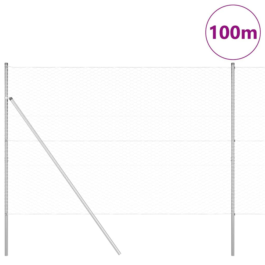 Afrasteringspaal Zilver 100 x 1,5 m (36 mm gaas) Staal