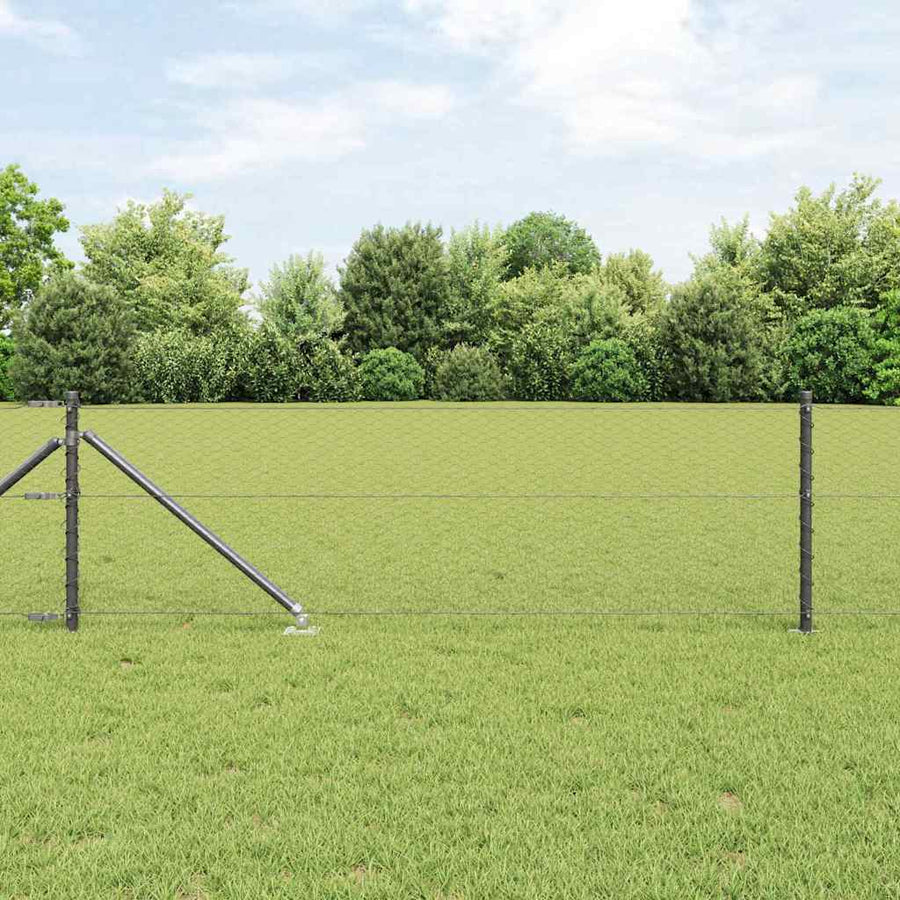 Afrasteringspaal Grijs 10 x 0,6 m (25 mm gaas) Staal en PVC