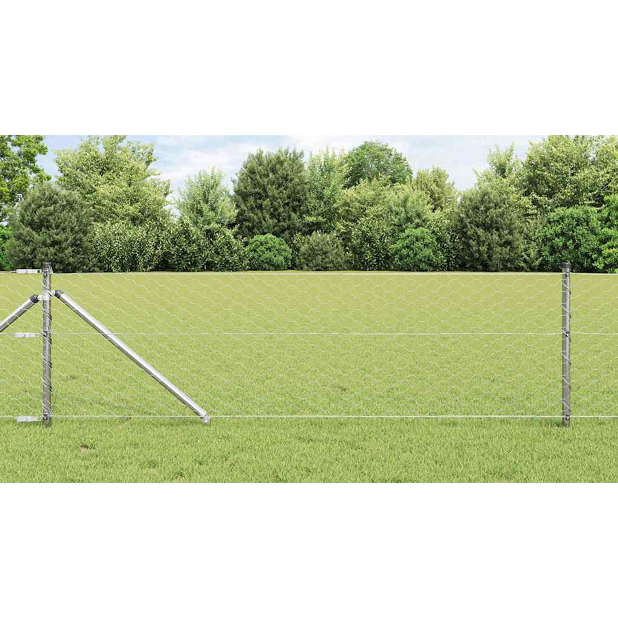 Afrasteringspaal Zilver 50 x 0,6 m (50 mm gaas) Staal