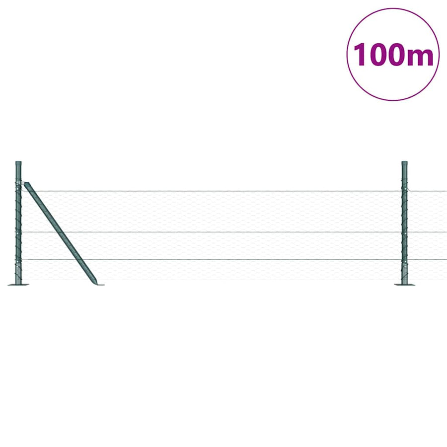 Afrasteringspaal Groen 100 x 0,4 m (25 mm gaas) Staal en PVC