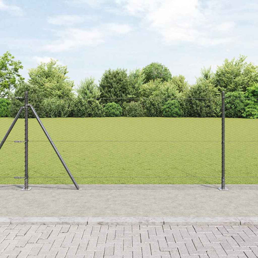 Afrasteringspaal Grijs 10 x 0,8 m (25 mm gaas) Staal en PVC