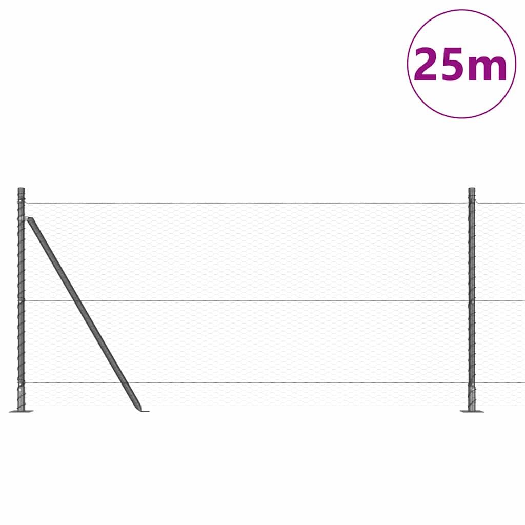 Afrasteringspaal Grijs 25 x 1 m (25 mm gaas) Staal