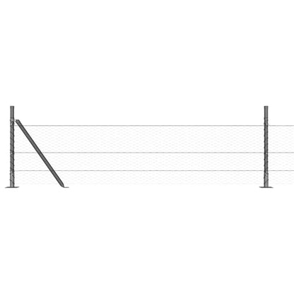 Afrasteringspaal Grijs 100 x 0,5 m (25 mm gaas) Staal en PVC