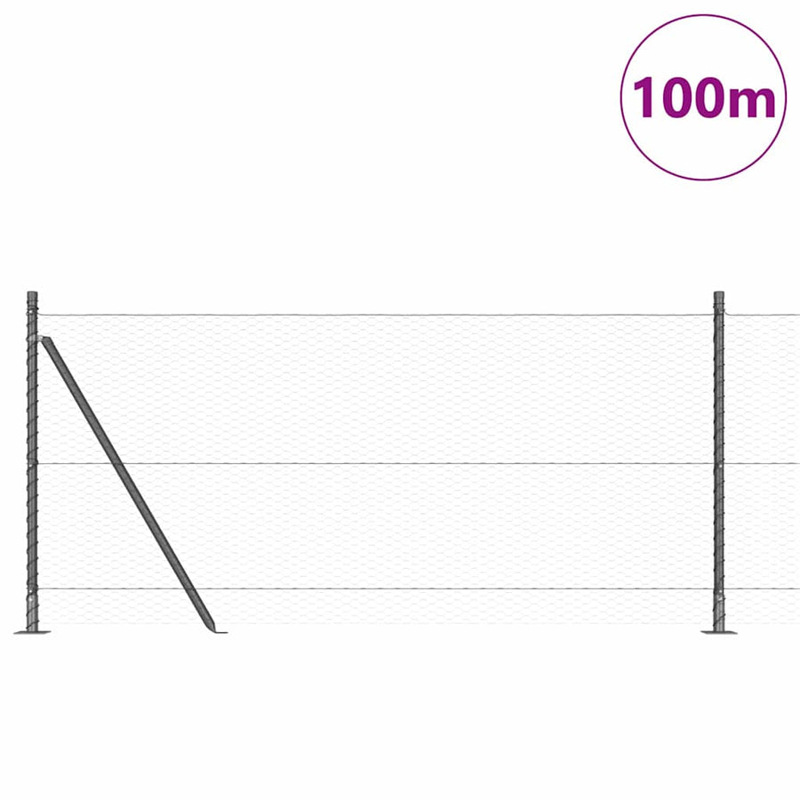Afrasteringspaal Grijs 100 x 0,8 m (25 mm gaas) Staal en PVC