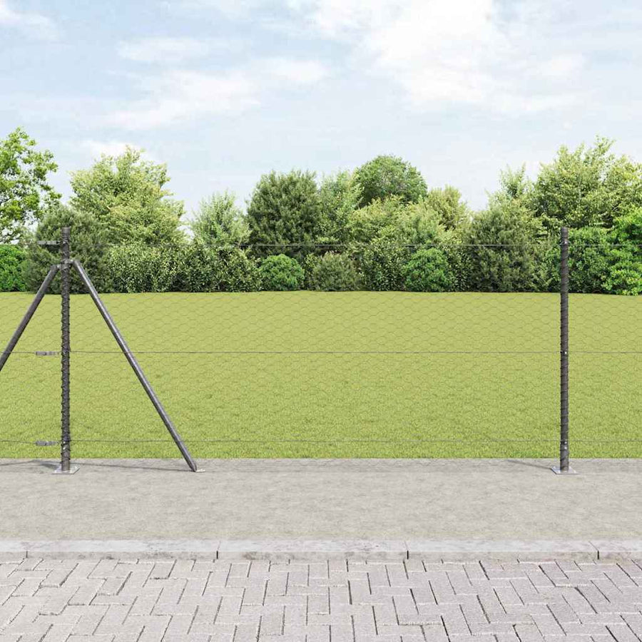 Afrasteringspaal Grijs 100 x 0,8 m (36 mm gaas) Staal en PVC