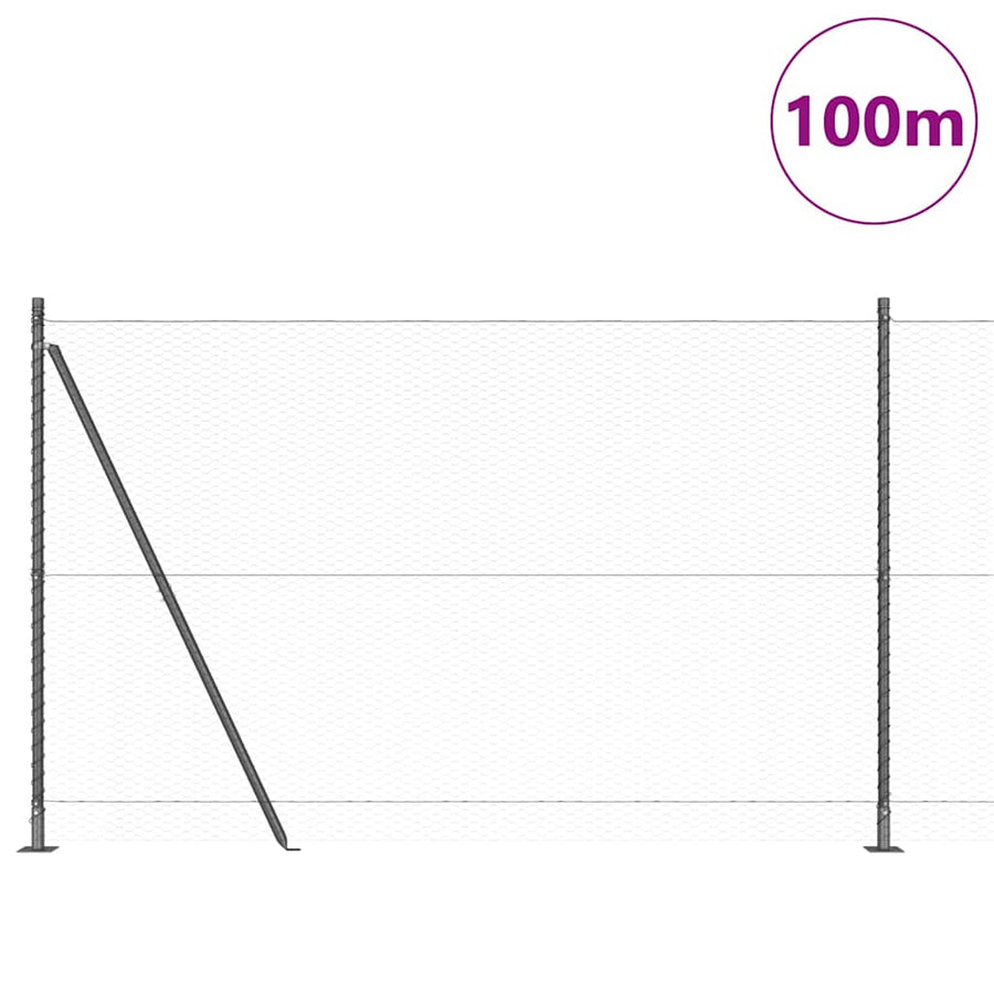 Afrasteringspaal Grijs 100 x 1,6 m (25 mm gaas) Staal en PVC