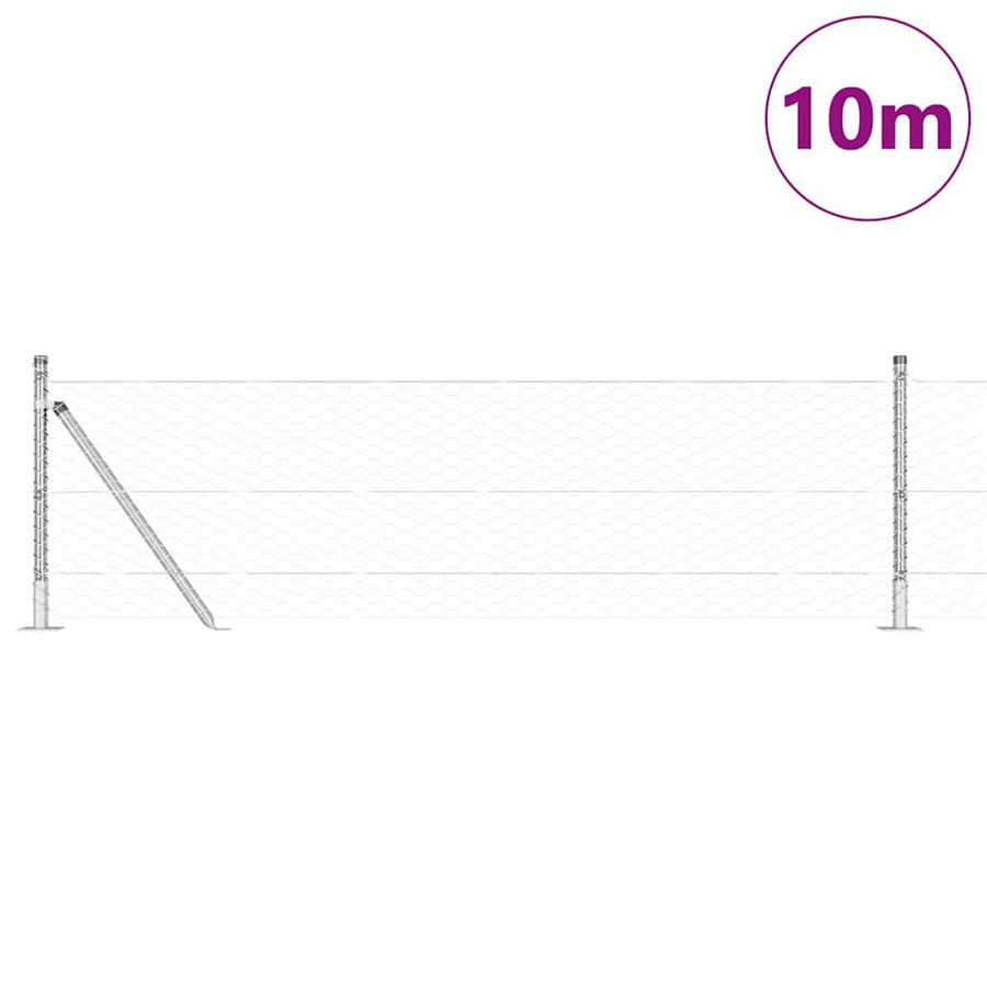 Afrasteringspaal Zilver 10 x 0,6 m (36 mm gaas) Staal