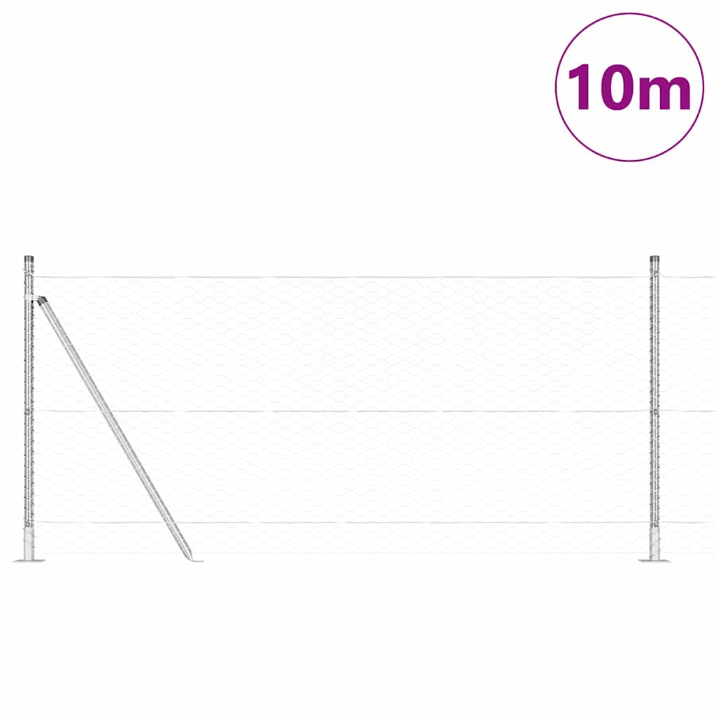 Afrasteringspaal Zilver 10 x 0,8 m (36 mm gaas) Staal