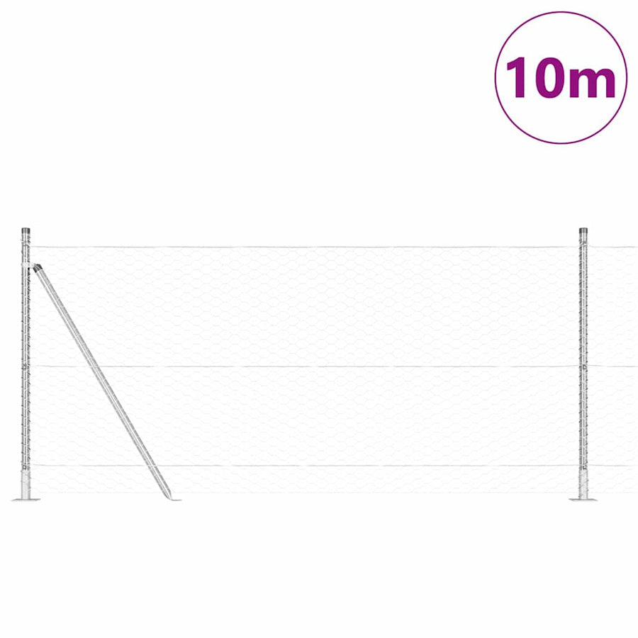 Afrasteringspaal Zilver 10 x 1 m (36 mm gaas) Staal