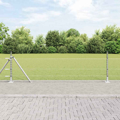 Afrasteringspaal Zilver 50 x 0,4 m (25 mm gaas) Staal