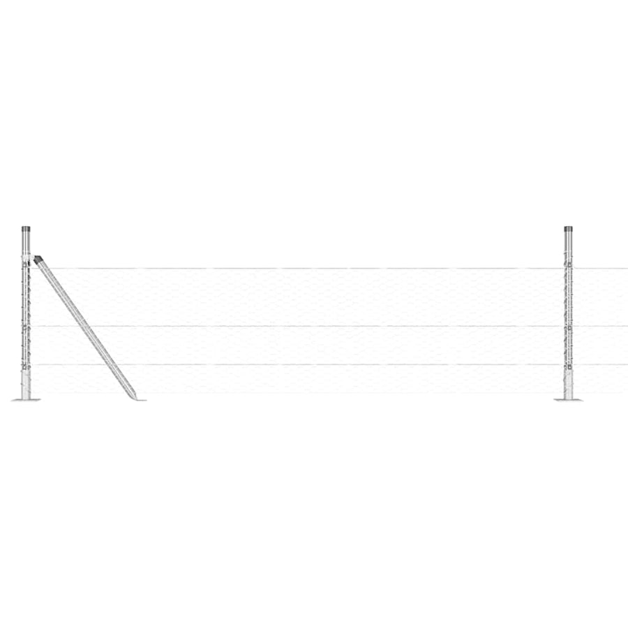 Afrasteringspaal Zilver 50 x 0,5 m (25 mm net) Staal