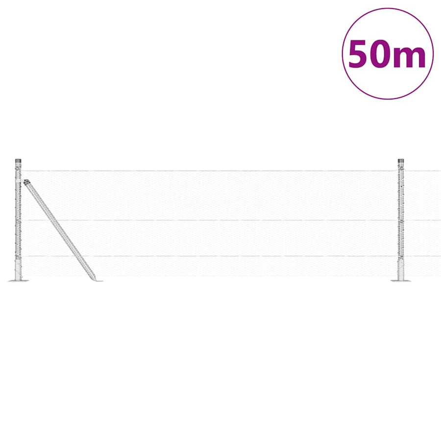 Afrasteringspaal Zilver 50 x 0,6 m (13 mm gaas) Staal