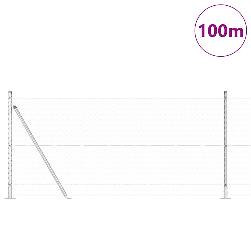 Afrasteringspaal Zilver 100 x 0,8 m (25 mm gaas) Staal