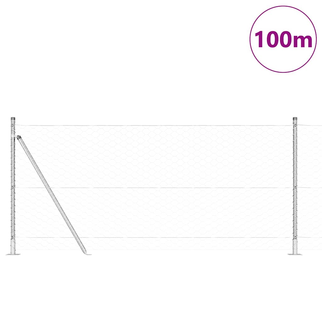 Afrasteringspaal Zilver 100 x 0,8 m (50 mm gaas) Staal