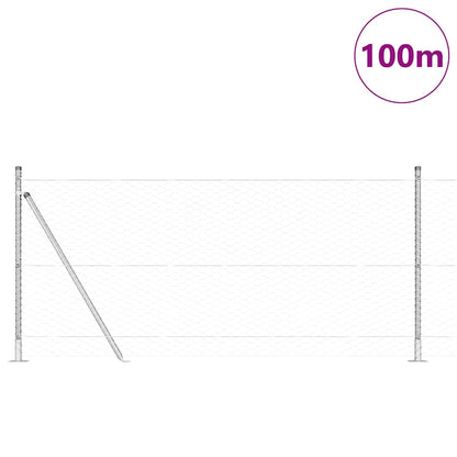 Afrasteringspaal Zilver 100 x 1 m (36 mm gaas) Staal