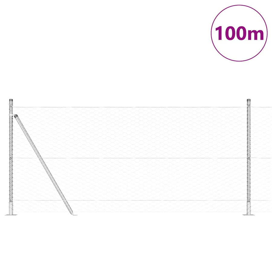 Afrasteringspaal Zilver 100 x 1 m (36 mm gaas) Staal